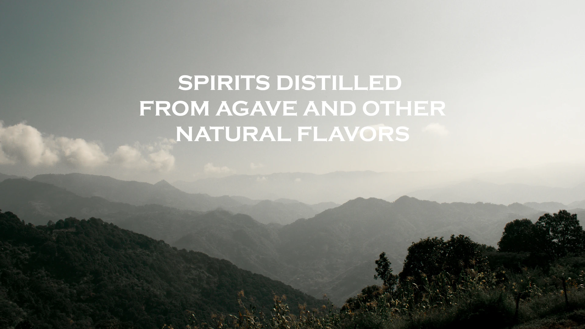 Spirit Distilled From Agave And Other Natural Flavors